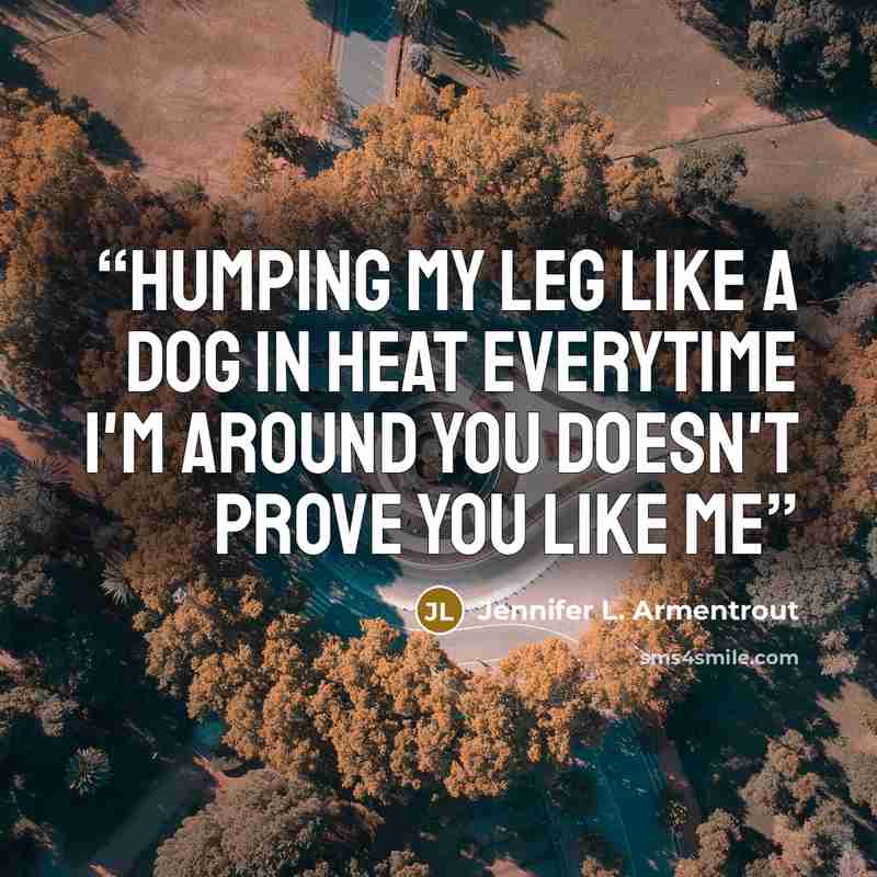 “Humping my leg like a dog in heat everytime I'm around you doesn't prove you like me” quote by Jennifer L. Armentrout