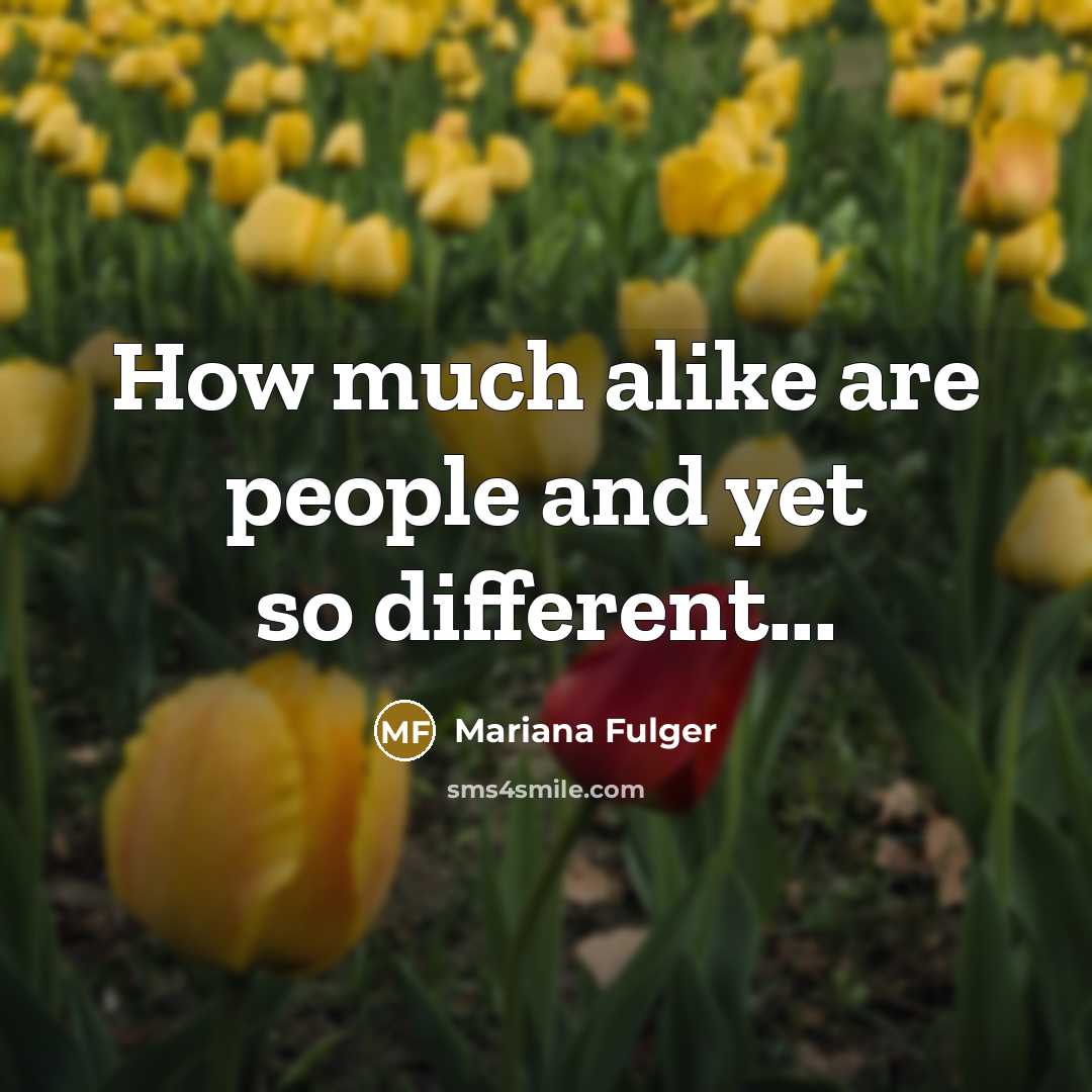 “How much alike are people and yet so different...” quote by Mariana Fulger