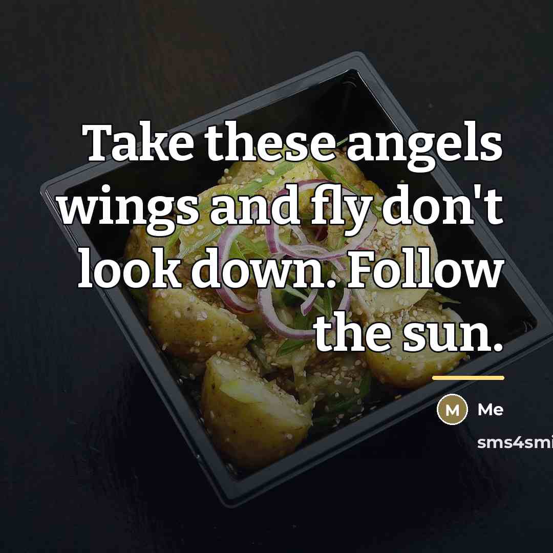 “Take these angels wings and fly don't look down. Follow…” quote by Me