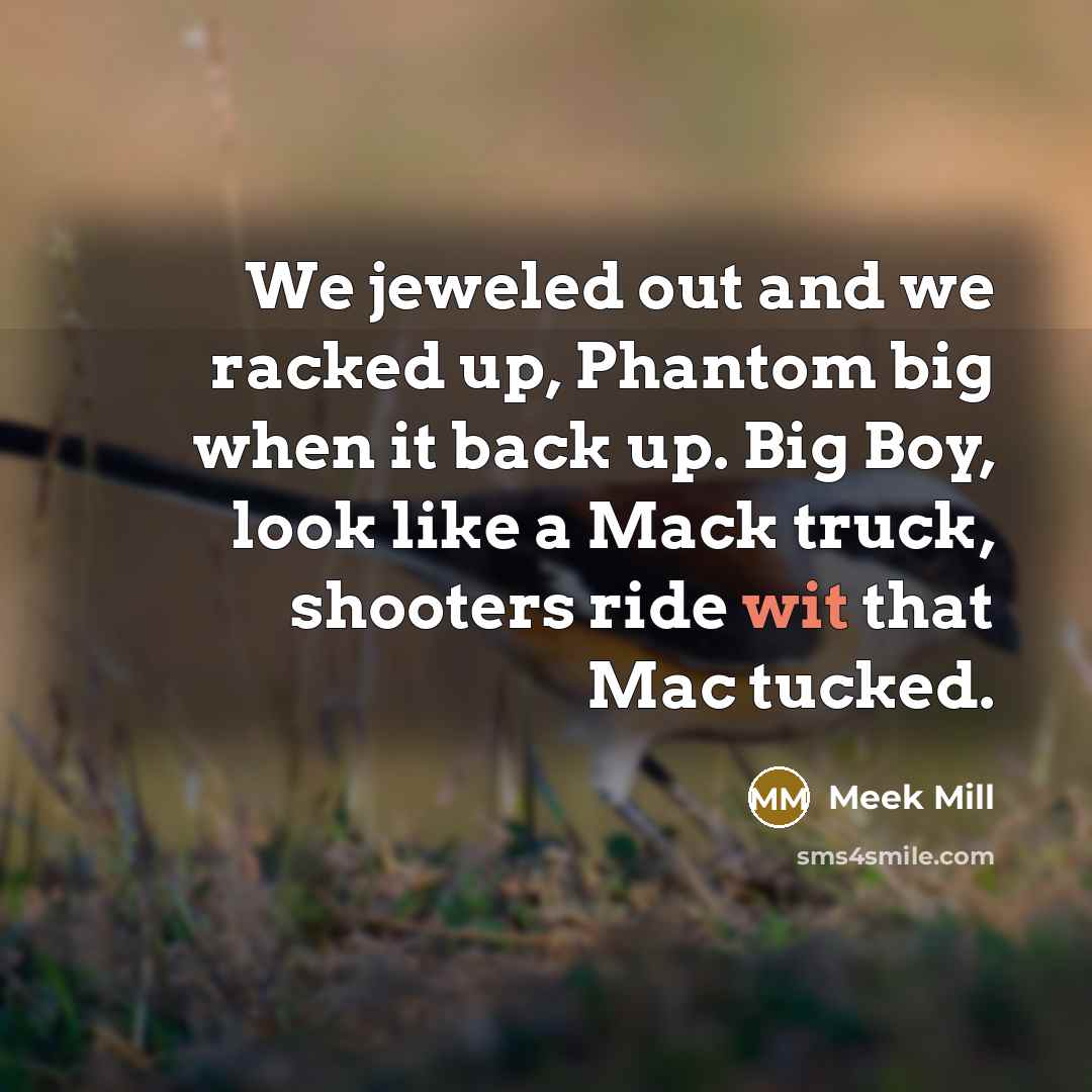 “We jeweled out and we racked up, Phantom big when…” quote by Meek Mill