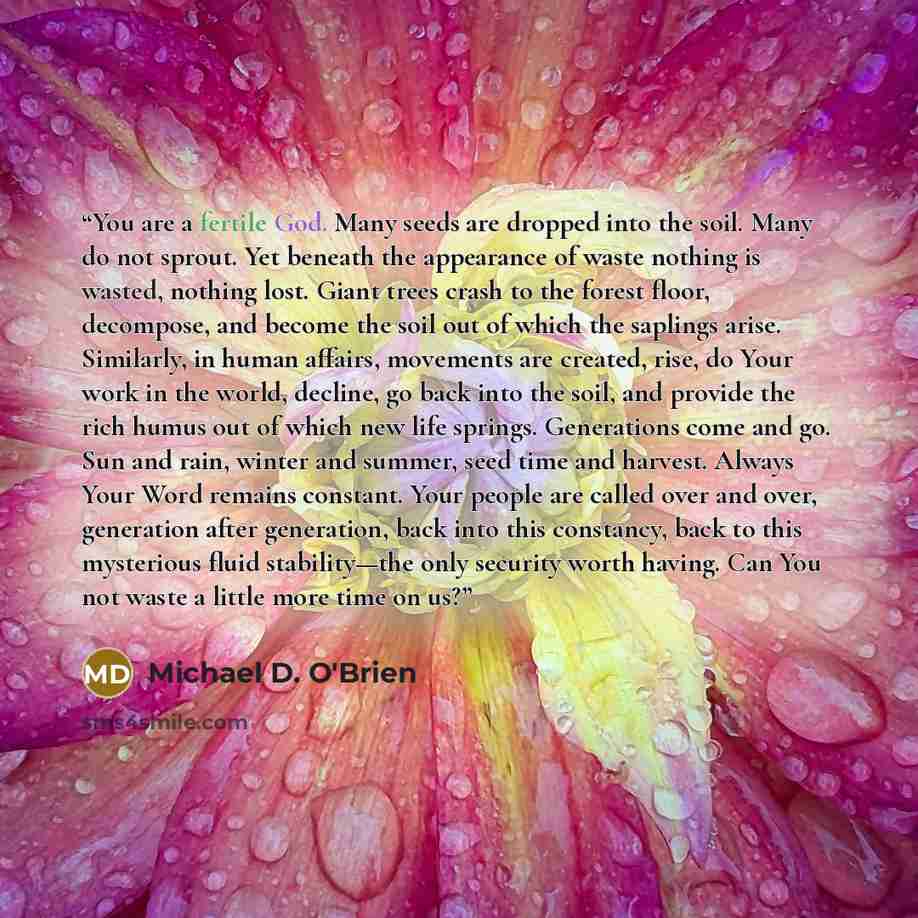 “You are a fertile God. Many seeds are dropped into the soil. Many do not sprout. Yet beneath the appearance of waste nothing is wasted, nothing lost. Giant trees crash to the forest floor, decompose, and become the soil out of which the saplings arise. Similarly, in human affairs, movements are…” quote by Michael D. O'Brien