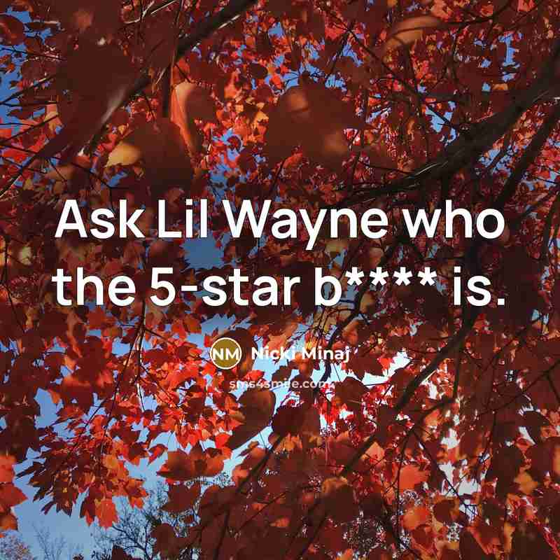 “Ask Lil Wayne who the 5-star b**** is.” quote by Nicki Minaj