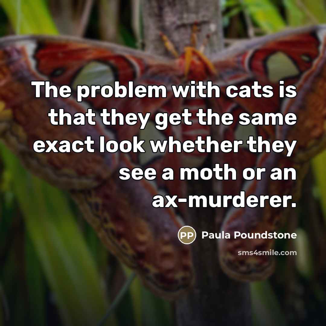 “The problem with cats is that they get the same…” quote by Paula Poundstone