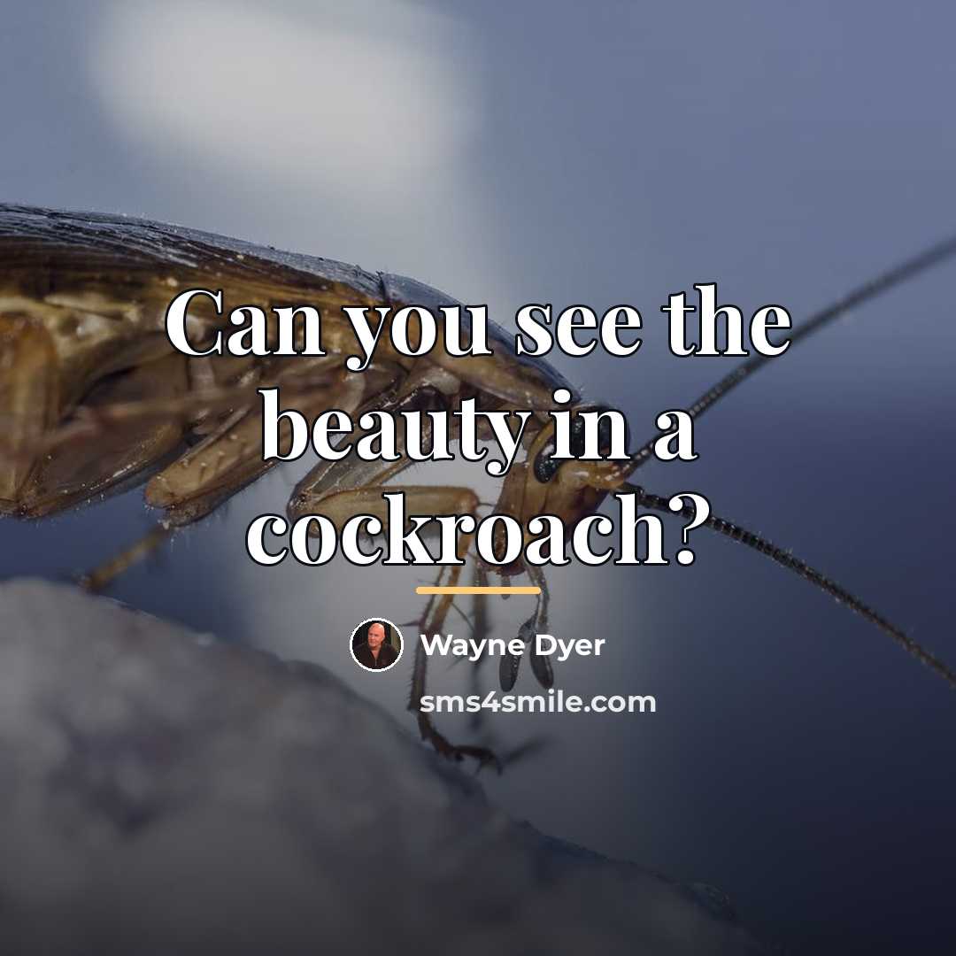 “Can you see the beauty in a cockroach?…” quote by Wayne Dyer