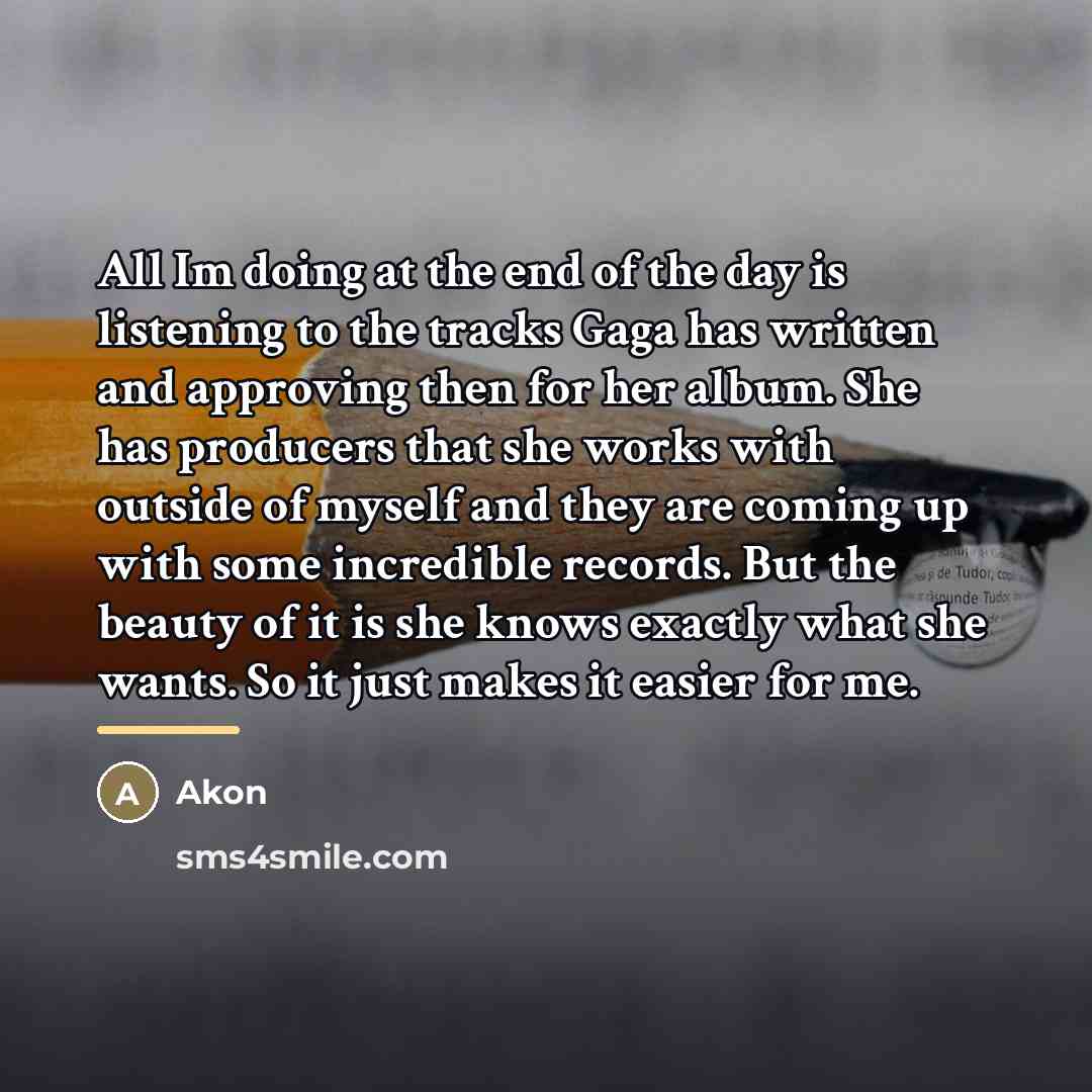 “All Im doing at the end of the day is…” quote by Akon