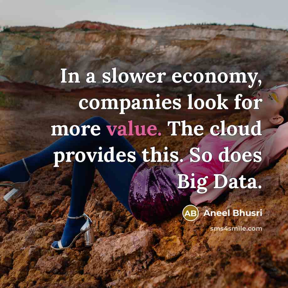 “In a slower economy, companies look for more value. The…” quote by Aneel Bhusri