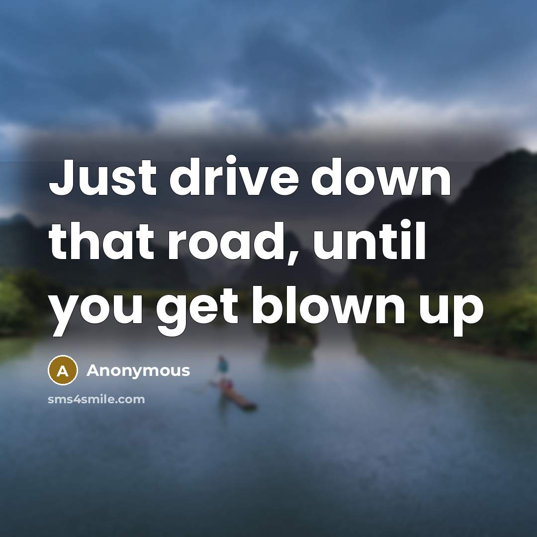 “Just drive down that road, until you get blown up” quote by Anonymous