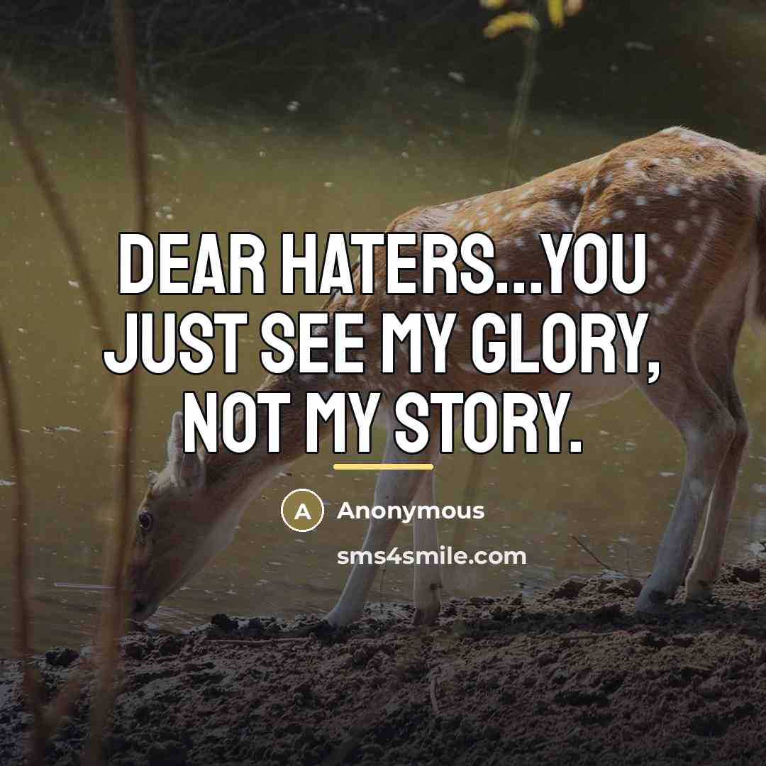 “Dear Haters...You just see my glory, NOT MY STORY.…” quote by Anonymous