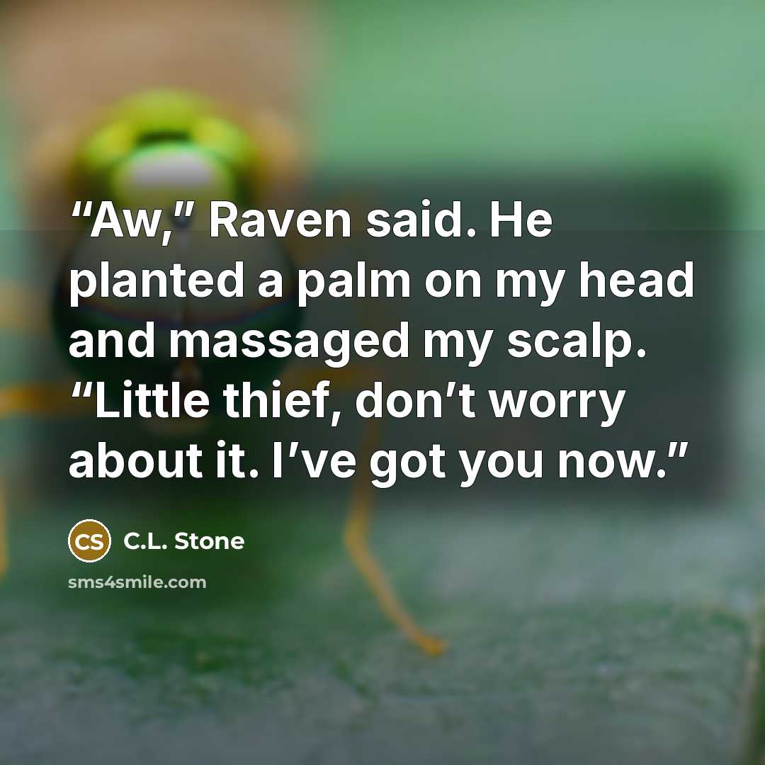 “Aw,” Raven said. He planted a palm on my head and massaged my scalp. “Little thief, don’t worry about it. I’ve got you now.” quote by C.L. Stone