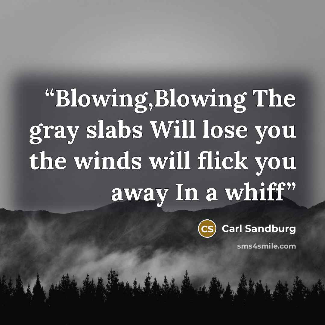“Blowing,Blowing The gray slabs Will lose you the winds will flick you away In a whiff” quote by Carl Sandburg