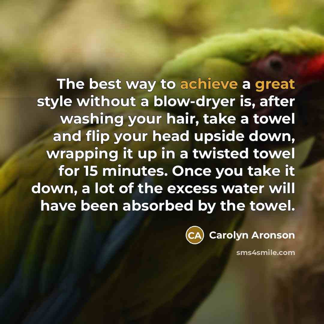 “The best way to achieve a great style without a…” quote by Carolyn Aronson