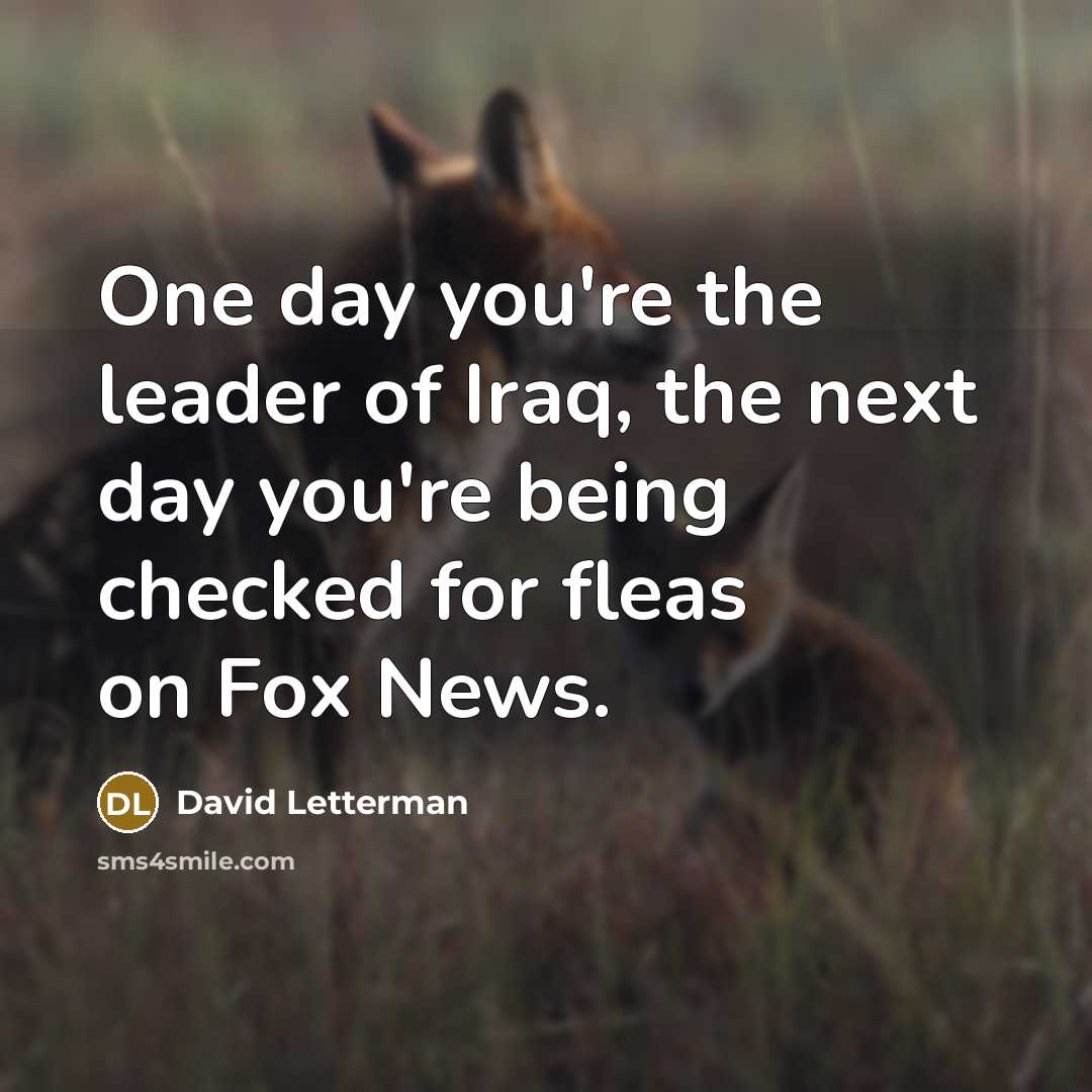 “One day you're the leader of Iraq, the next day…” quote by David Letterman
