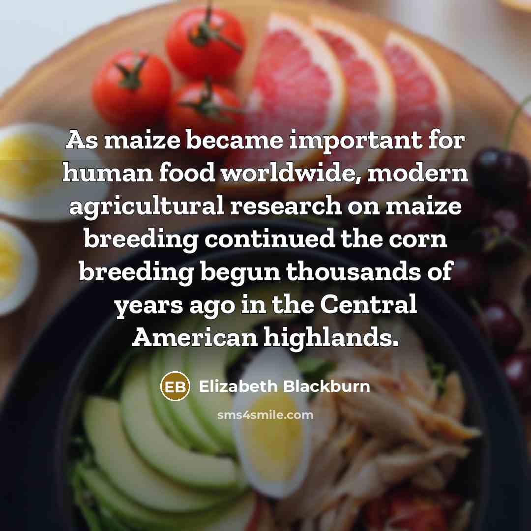 “As maize became important for human food worldwide, modern agricultural…” quote by Elizabeth Blackburn