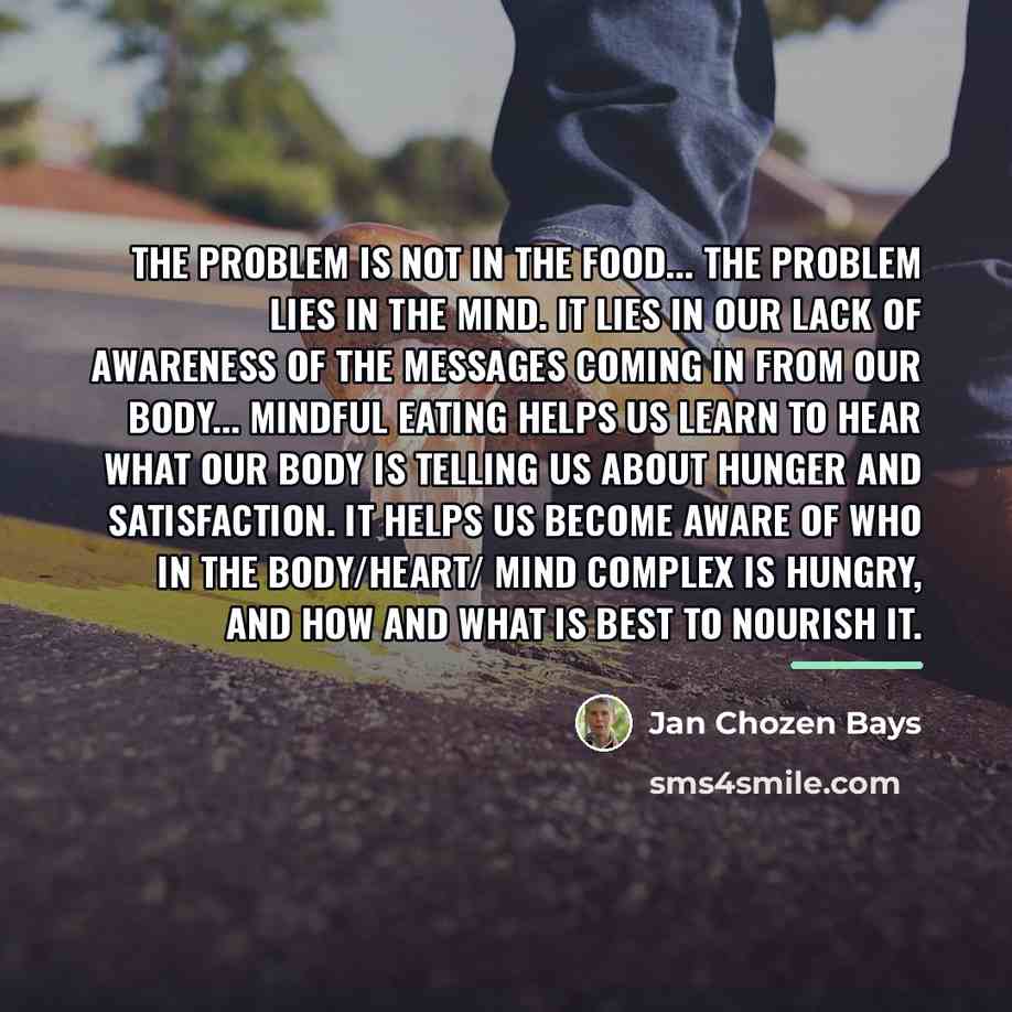 “The problem is not in the food... The problem lies…” quote by Jan Chozen Bays