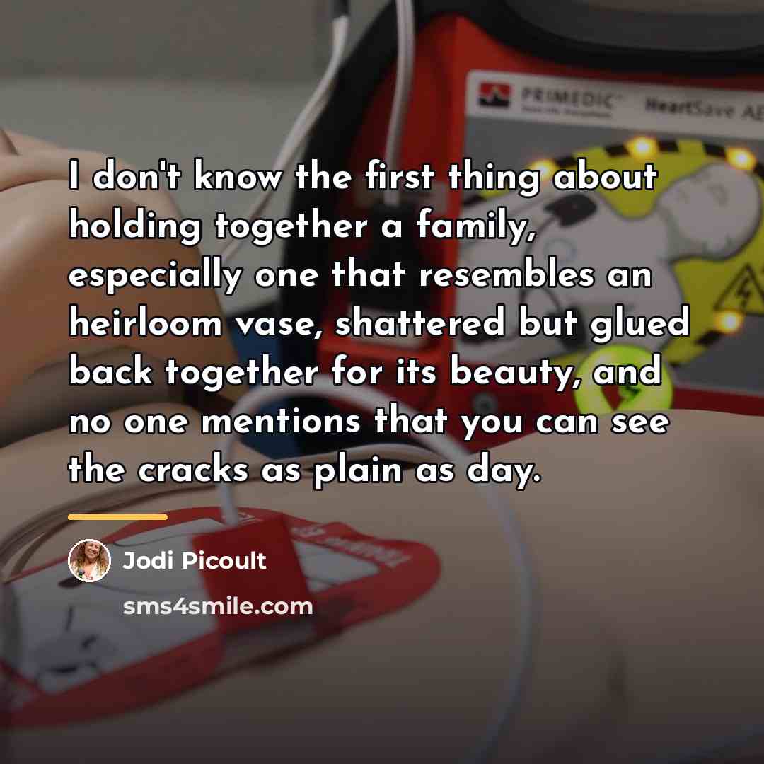“I don't know the first thing about holding together a…” quote by Jodi Picoult