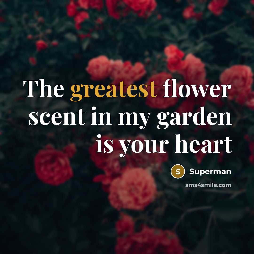 “The greatest flower scent in my garden is your heart…” quote by Superman