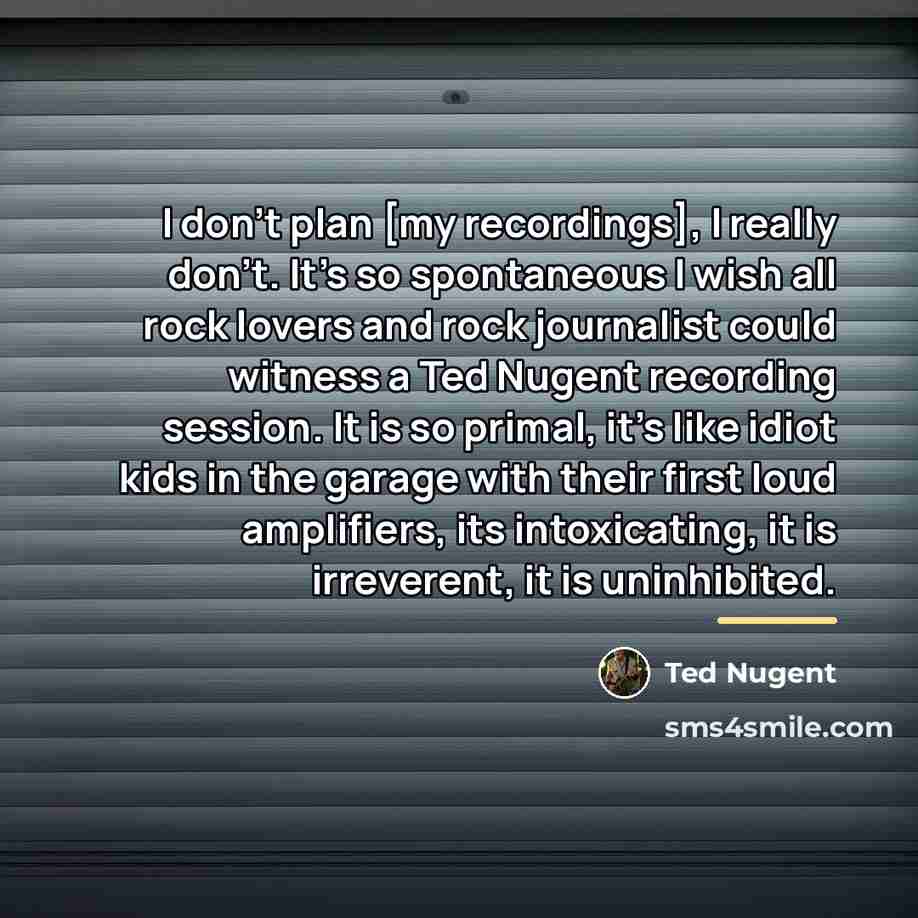 “I don't plan [my recordings], I really don't. It's so…” quote by Ted Nugent
