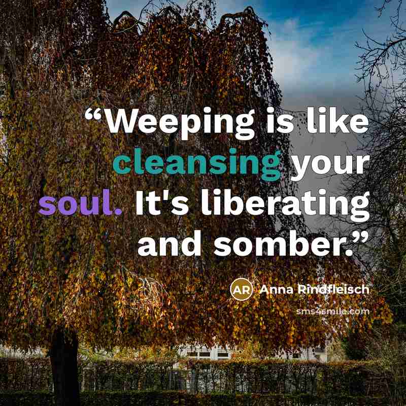 “Weeping is like cleansing your soul. It's liberating and somber.” quote by Anna Rindfleisch