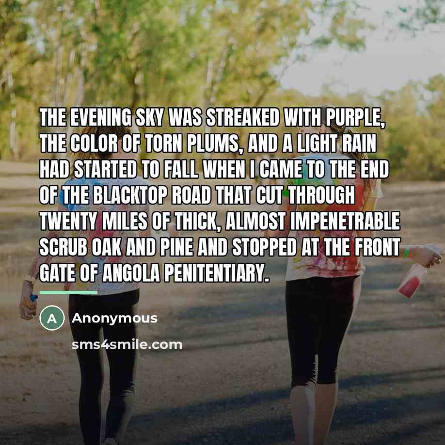 “The evening sky was streaked with purple, the color of…” quote by Anonymous