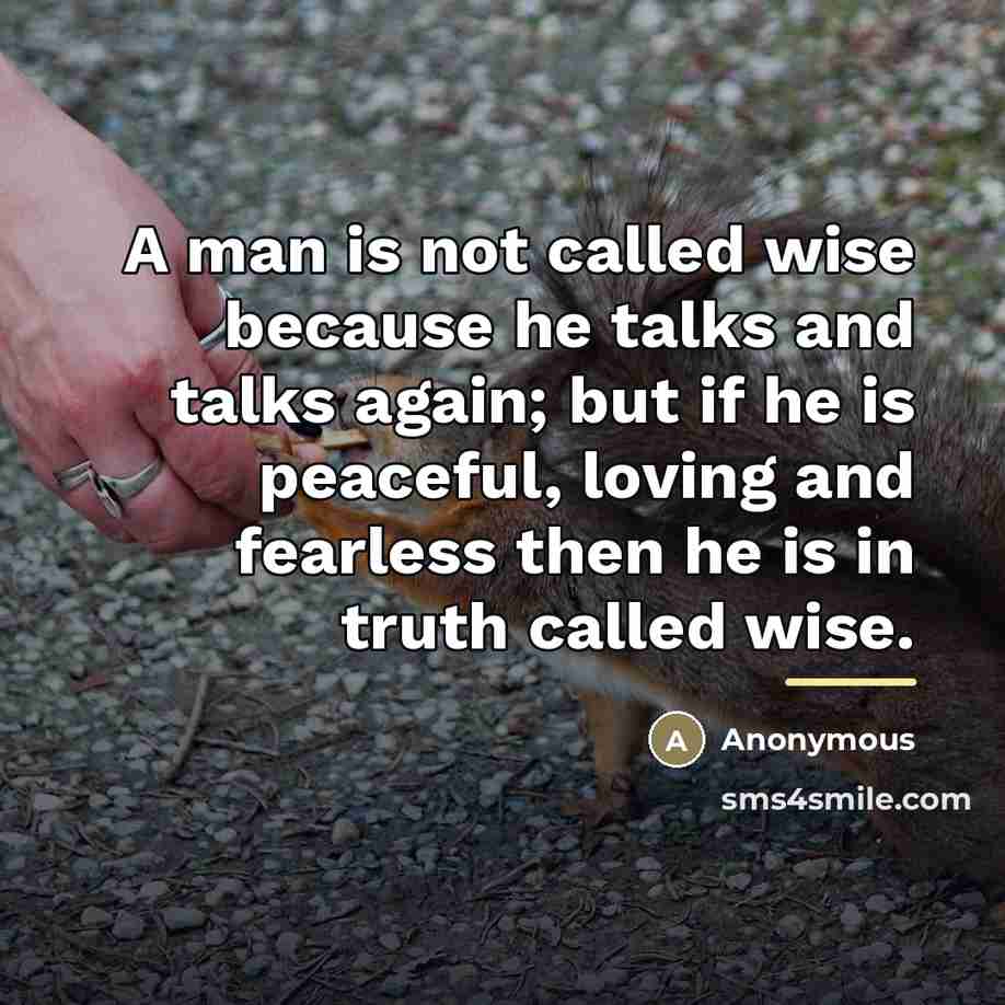 “A man is not called wise because he talks and…” quote by Anonymous