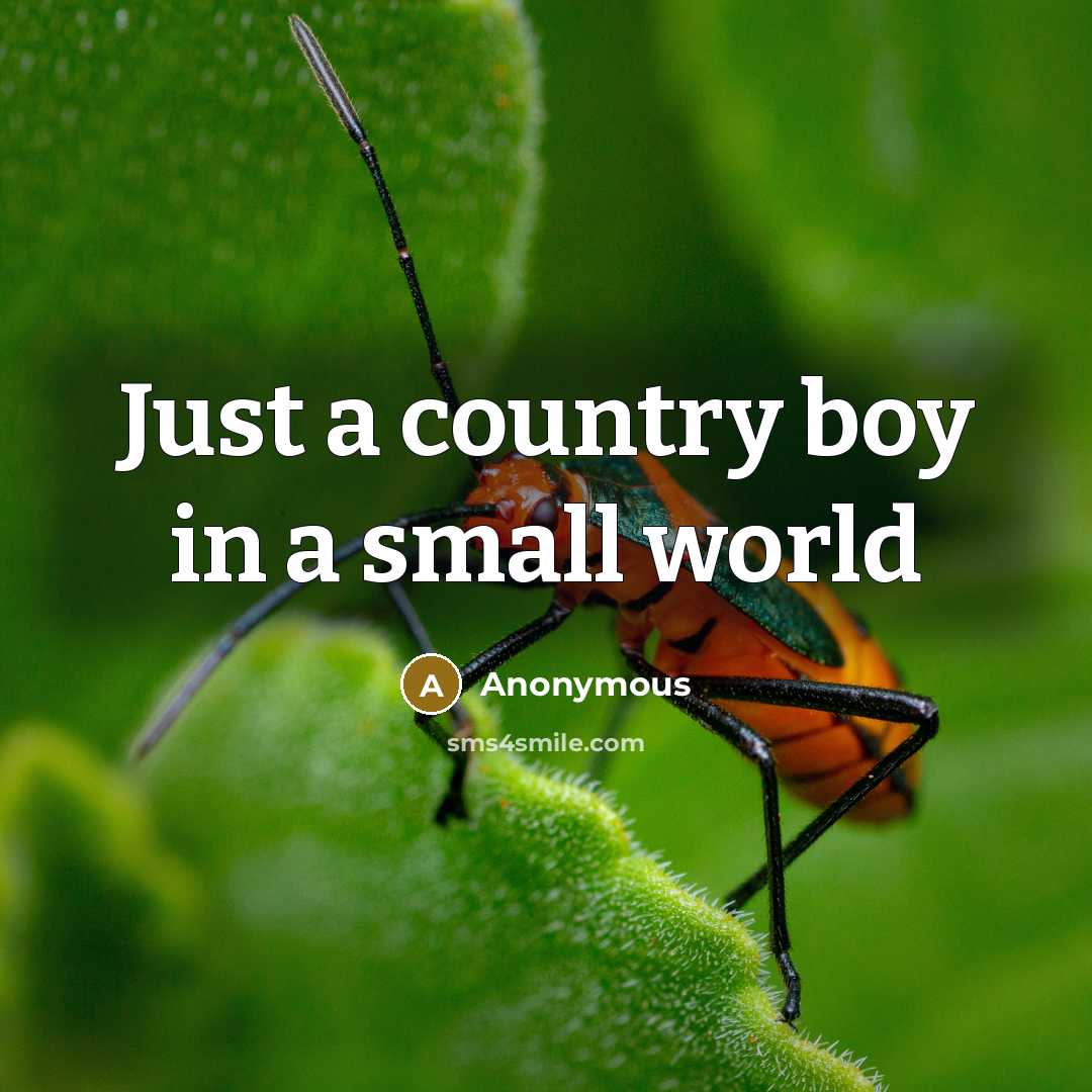 “Just a country boy in a small world” quote by Anonymous