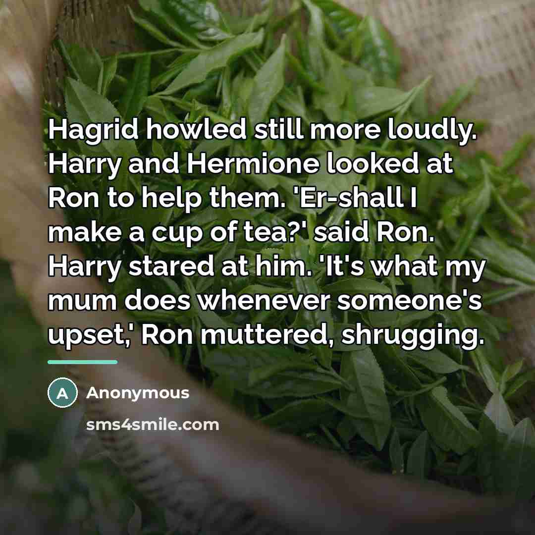 “Hagrid howled still more loudly. Harry and Hermione looked at…” quote by Anonymous