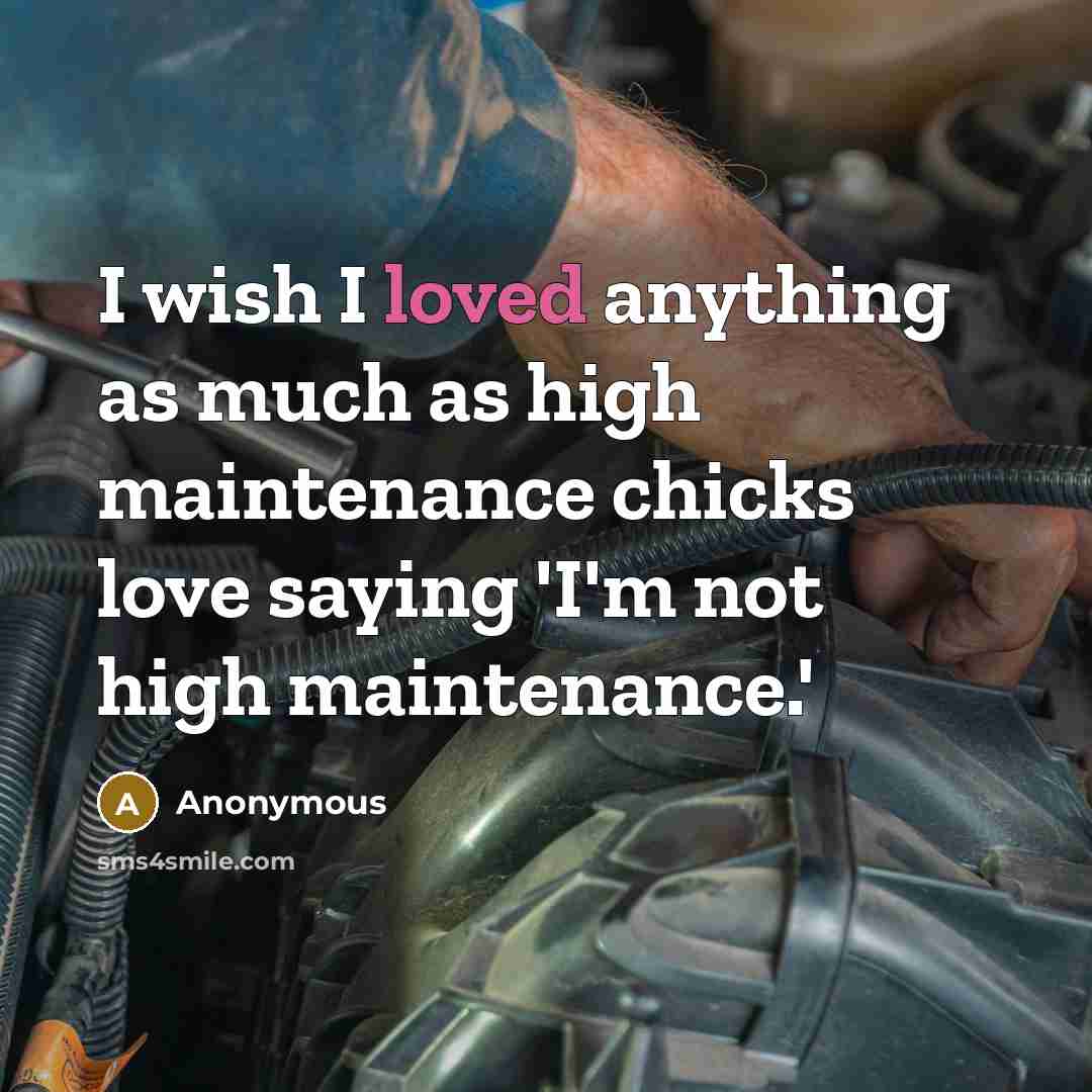 “I wish I loved anything as much as high maintenance…” quote by Anonymous