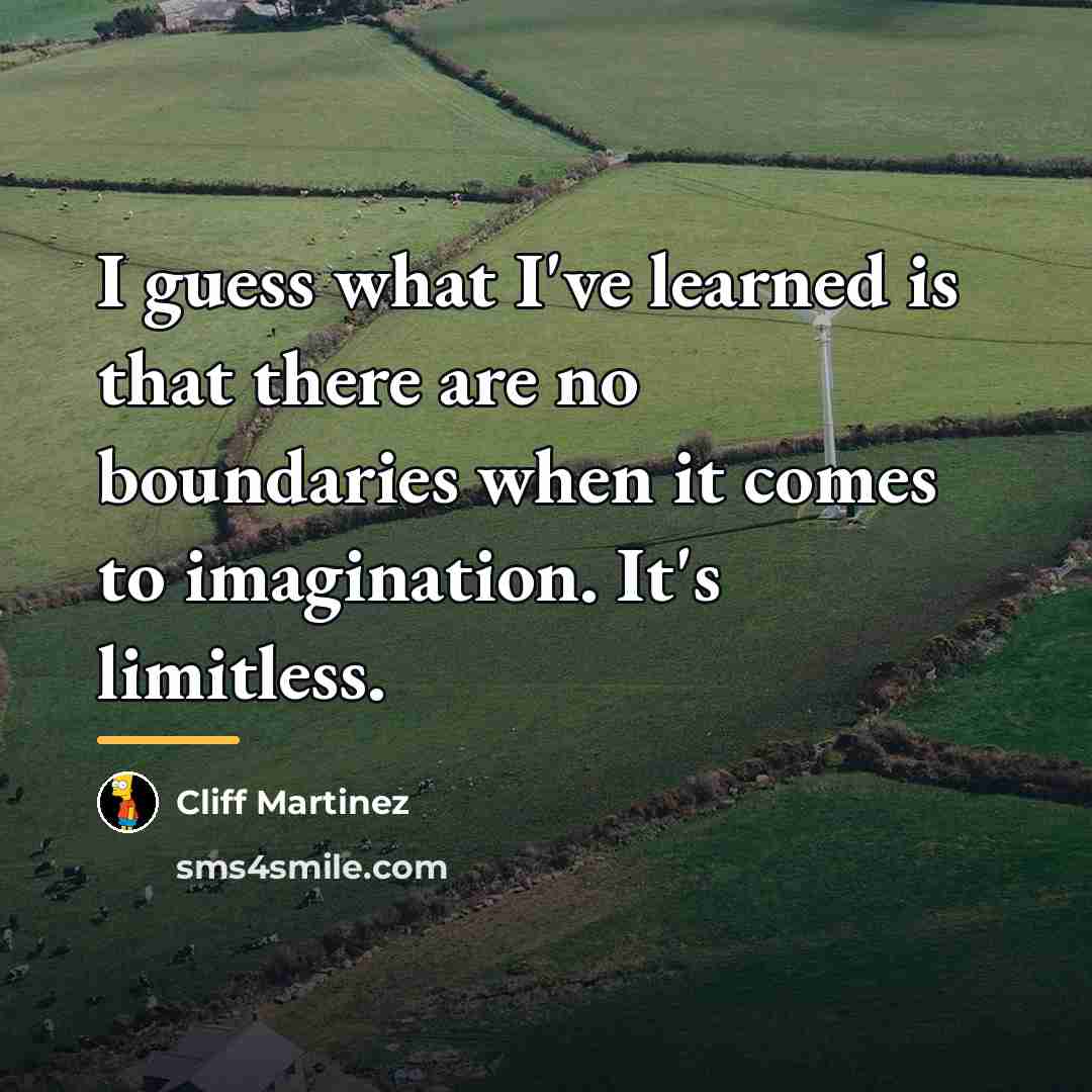 “I guess what I've learned is that there are no…” quote by Cliff Martinez