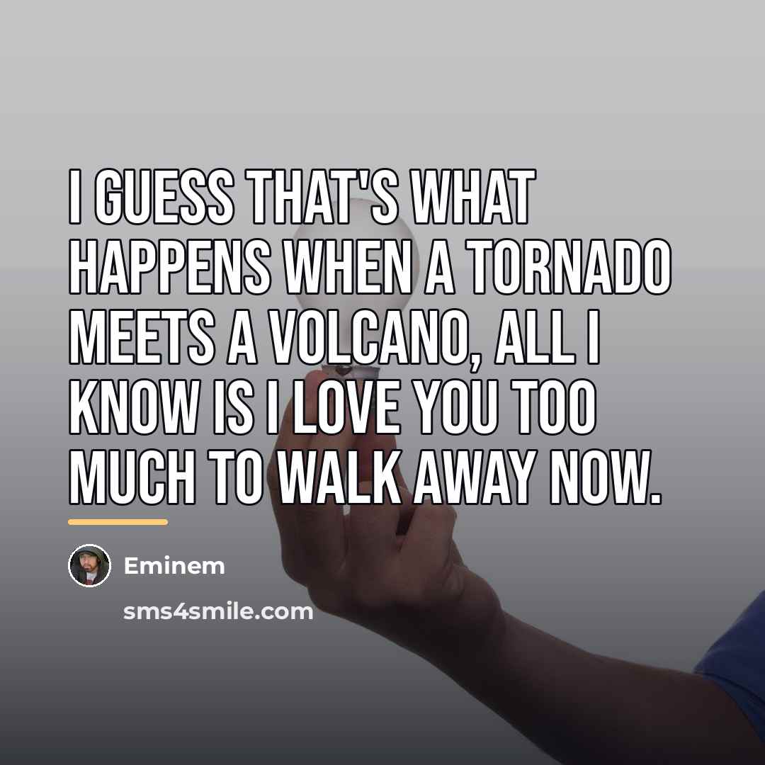 “I guess that's what happens when a tornado meets a…” quote by Eminem