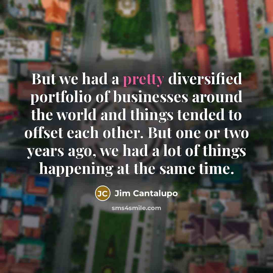 “But we had a pretty diversified portfolio of businesses around…” quote by Jim Cantalupo