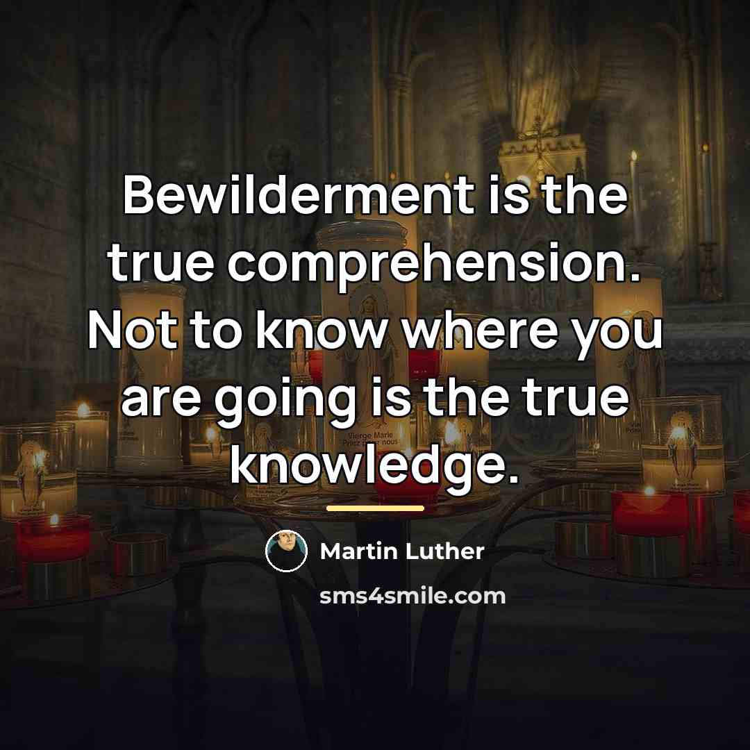 “Bewilderment is the true comprehension. Not to know where you…” quote by Martin Luther
