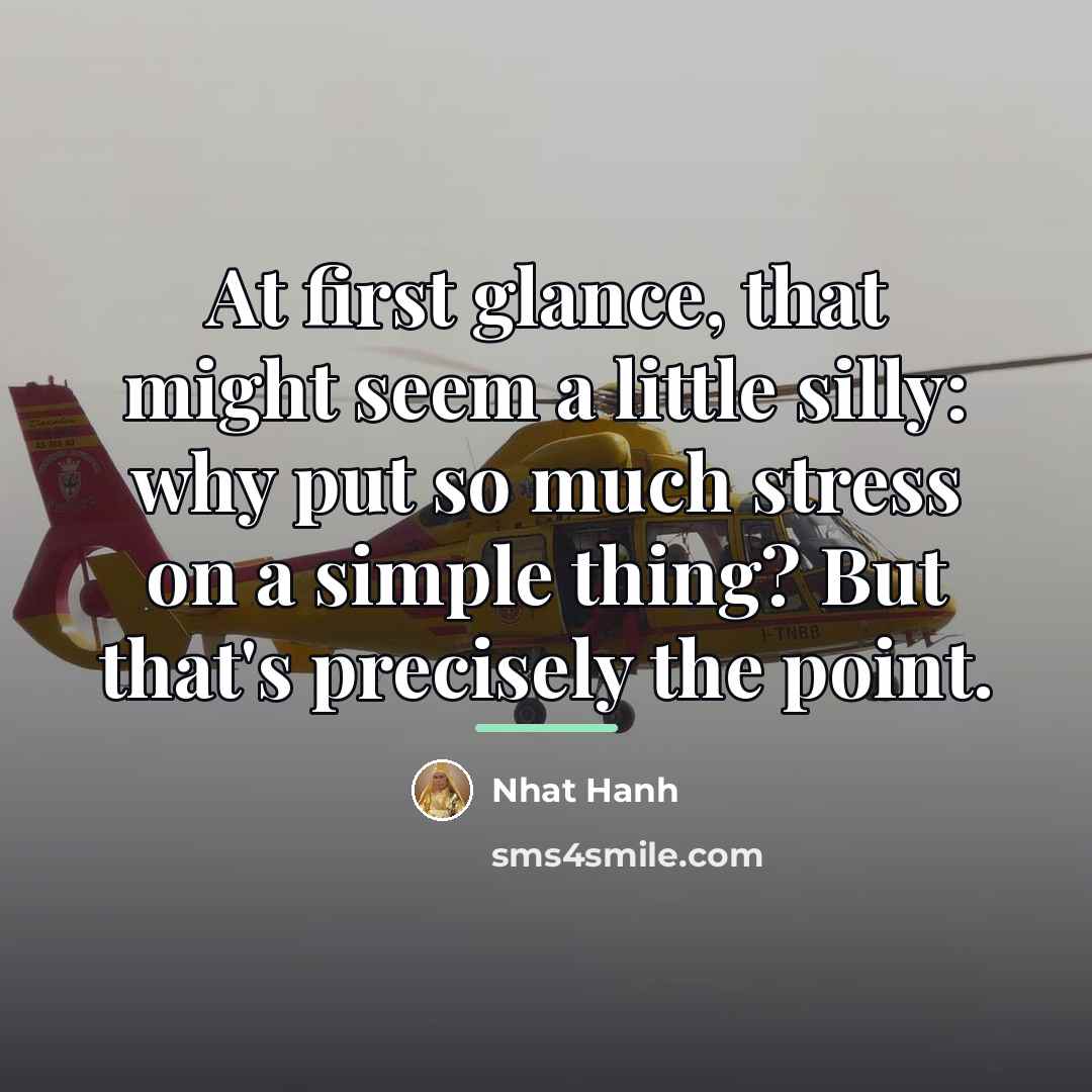 “At first glance, that might seem a little silly: why…” quote by Nhat Hanh
