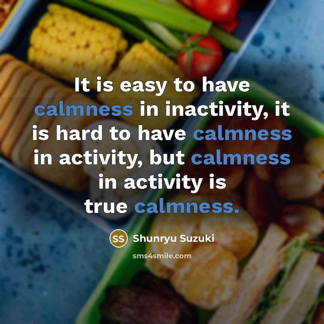 “It is easy to have calmness in inactivity, it is…” quote by Shunryu Suzuki