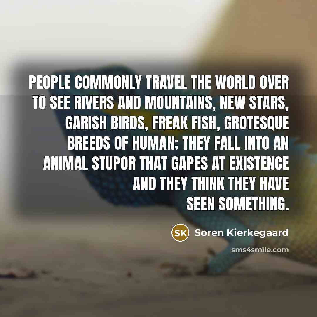 “People commonly travel the world over to see rivers and…” quote by Soren Kierkegaard