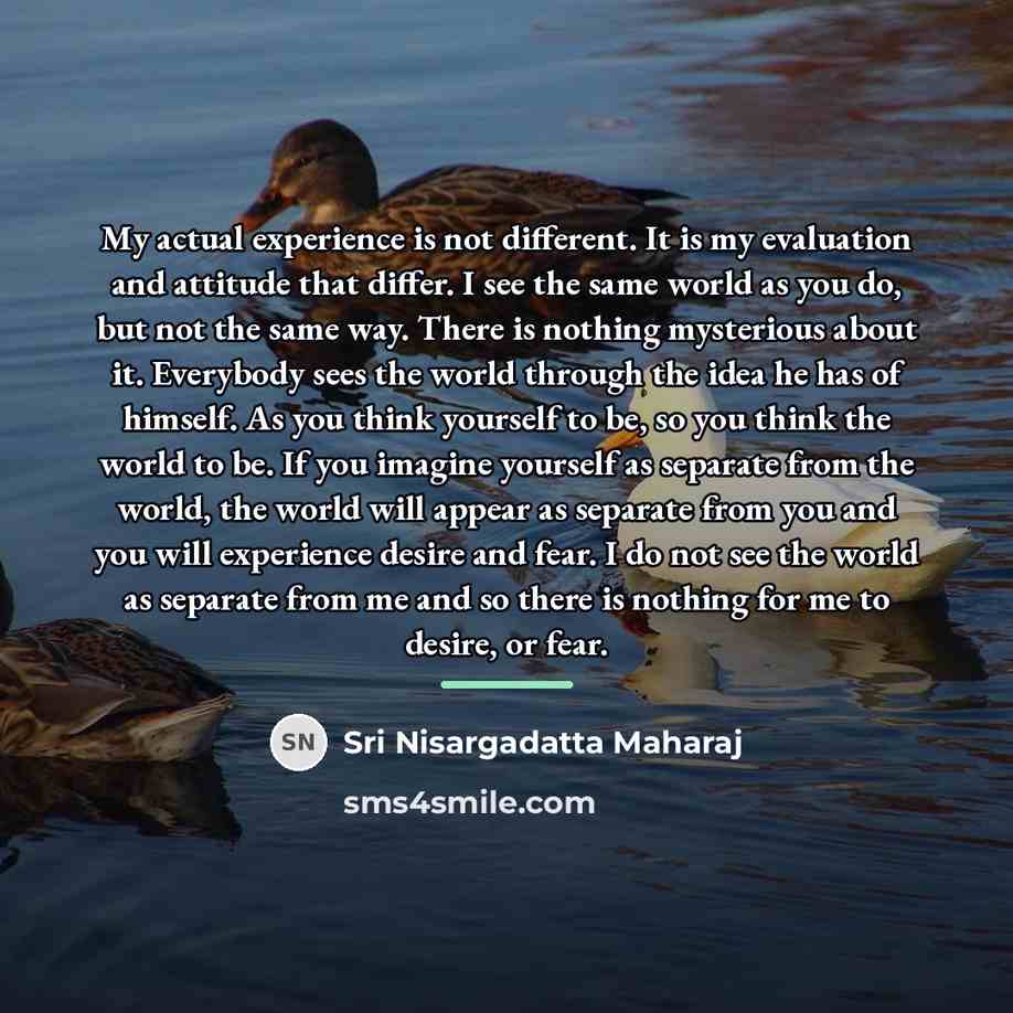 “My actual experience is not different. It is my evaluation…” quote by Sri Nisargadatta Maharaj