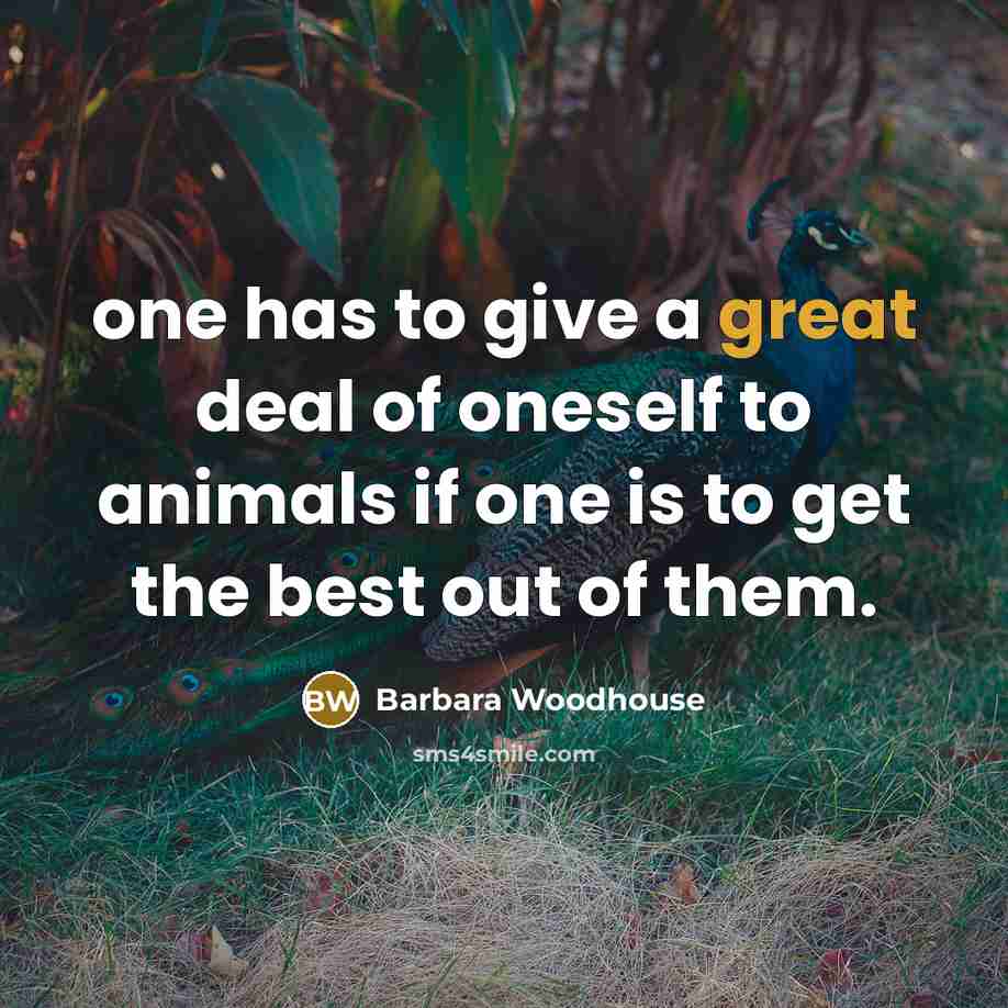 “one has to give a great deal of oneself to…” quote by Barbara Woodhouse