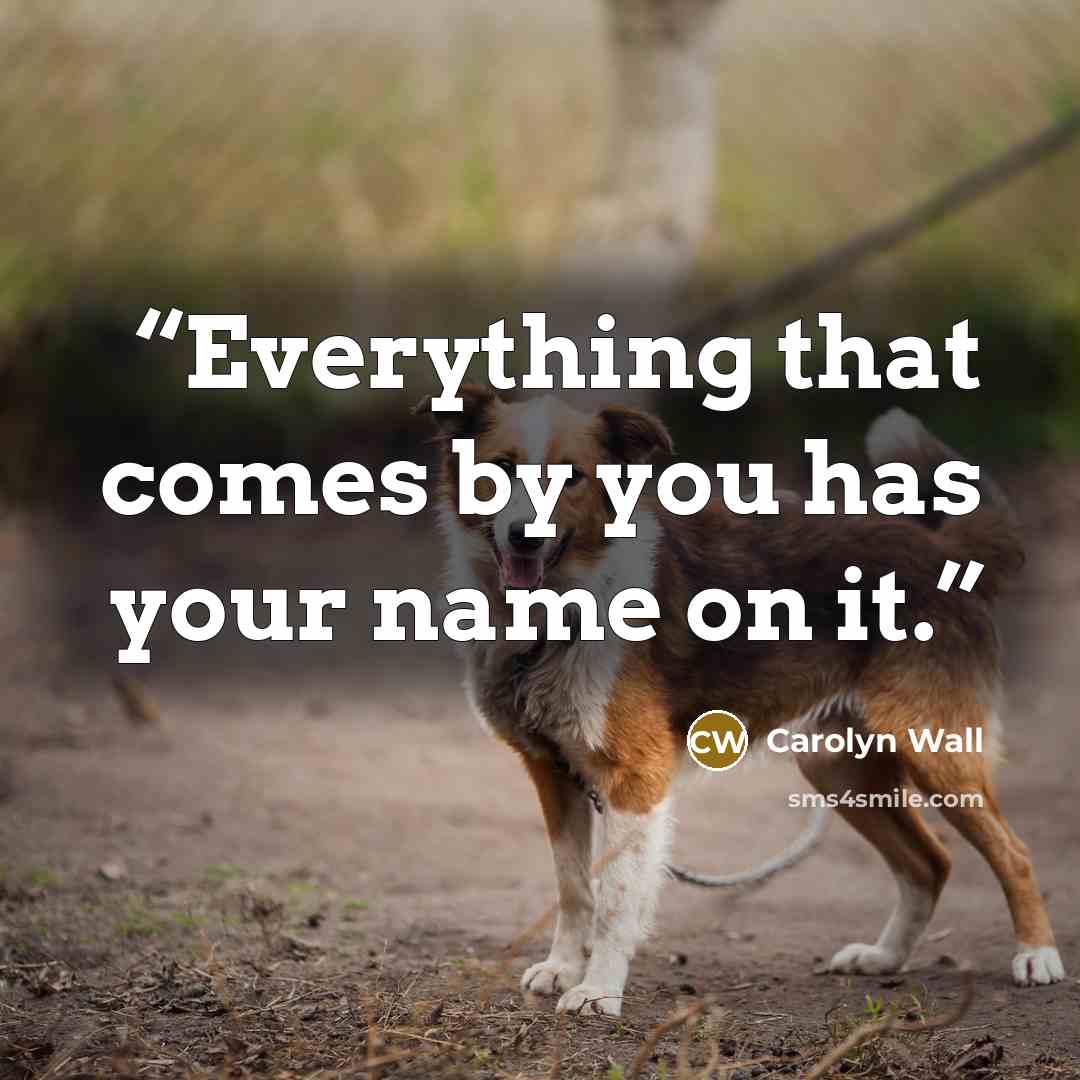 “Everything that comes by you has your name on it.” quote by Carolyn Wall