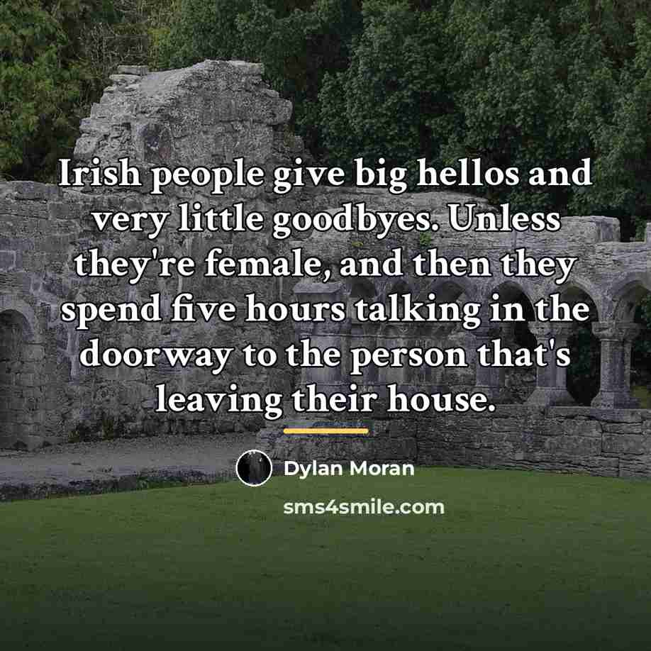 “Irish people give big hellos and very little goodbyes. Unless…” quote by Dylan Moran