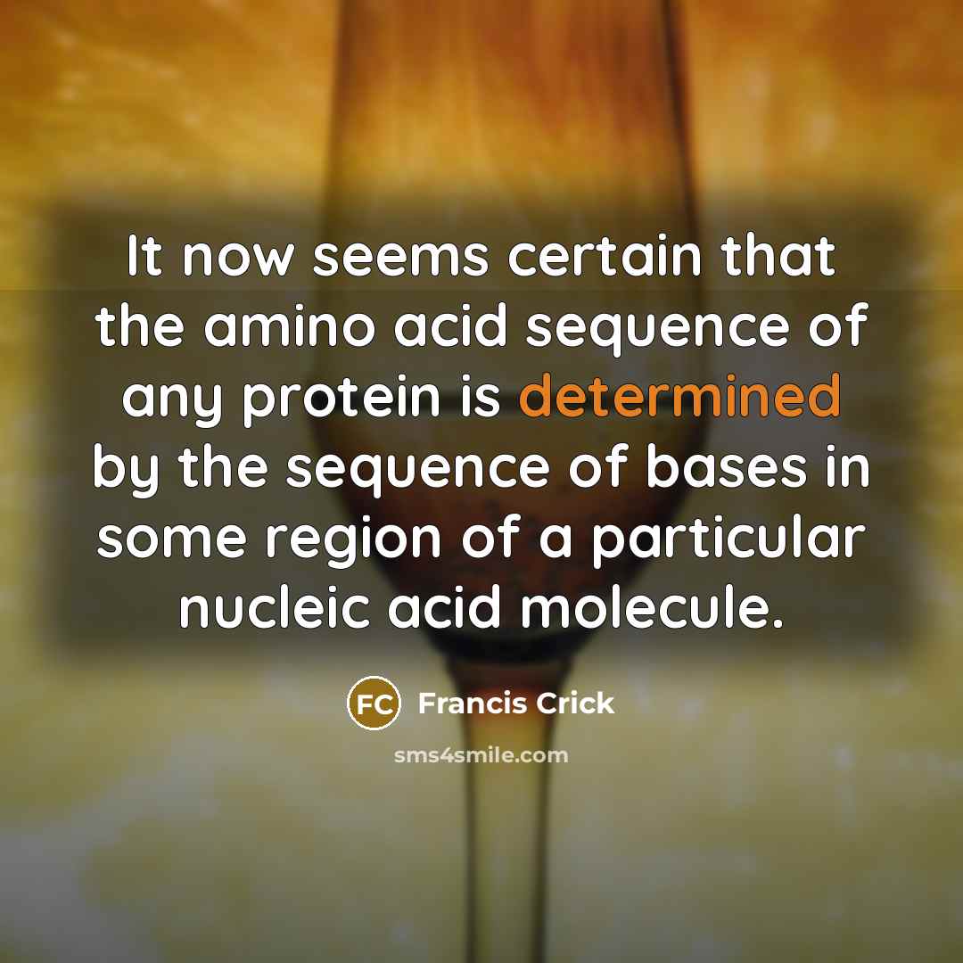 “It now seems certain that the amino acid sequence of…” quote by Francis Crick