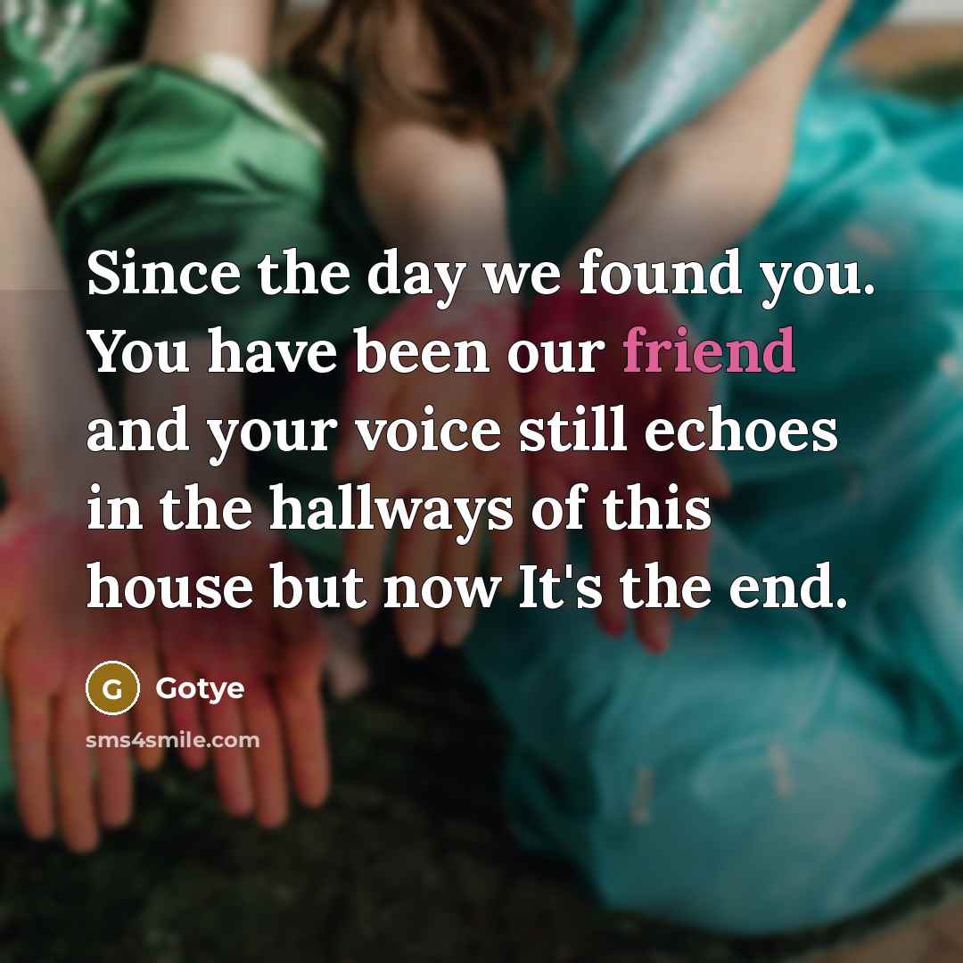 “Since the day we found you. You have been our friend and your voice still echoes in the hallways of this house but now It's the end.” quote by Gotye