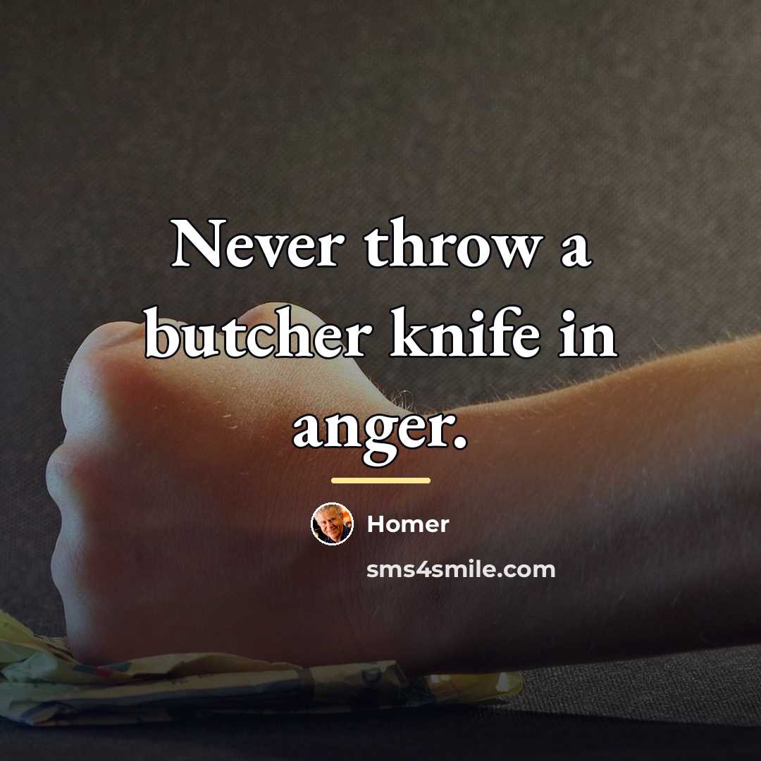 “Never throw a butcher knife in anger.…” quote by Homer