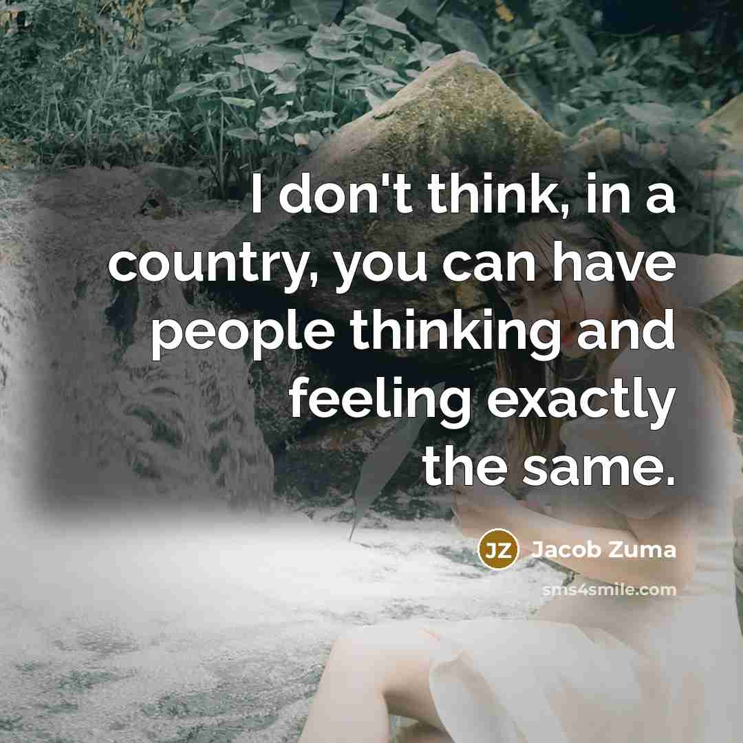 “I don't think, in a country, you can have people…” quote by Jacob Zuma