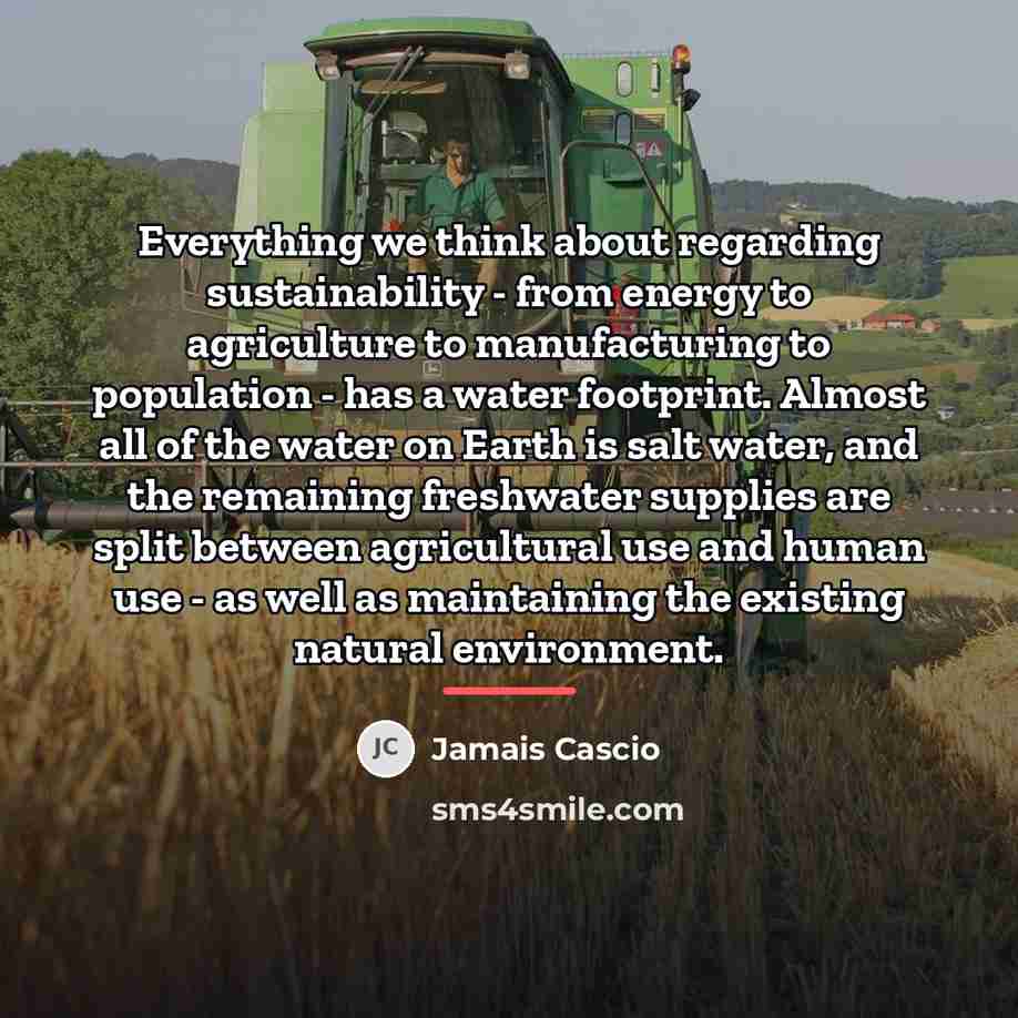 “Everything we think about regarding sustainability - from energy to…” quote by Jamais Cascio