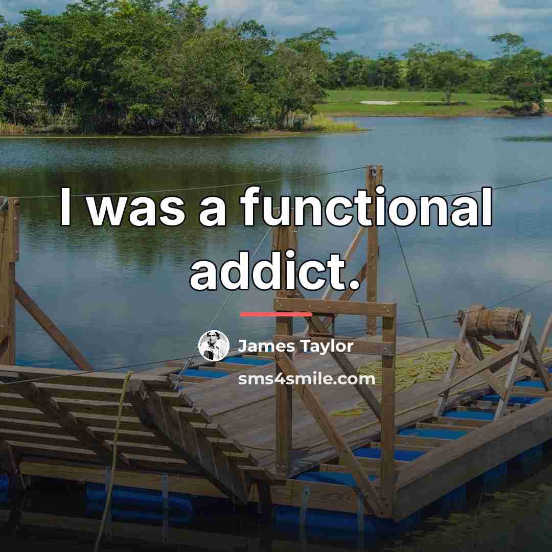 “I was a functional addict.…” quote by James Taylor