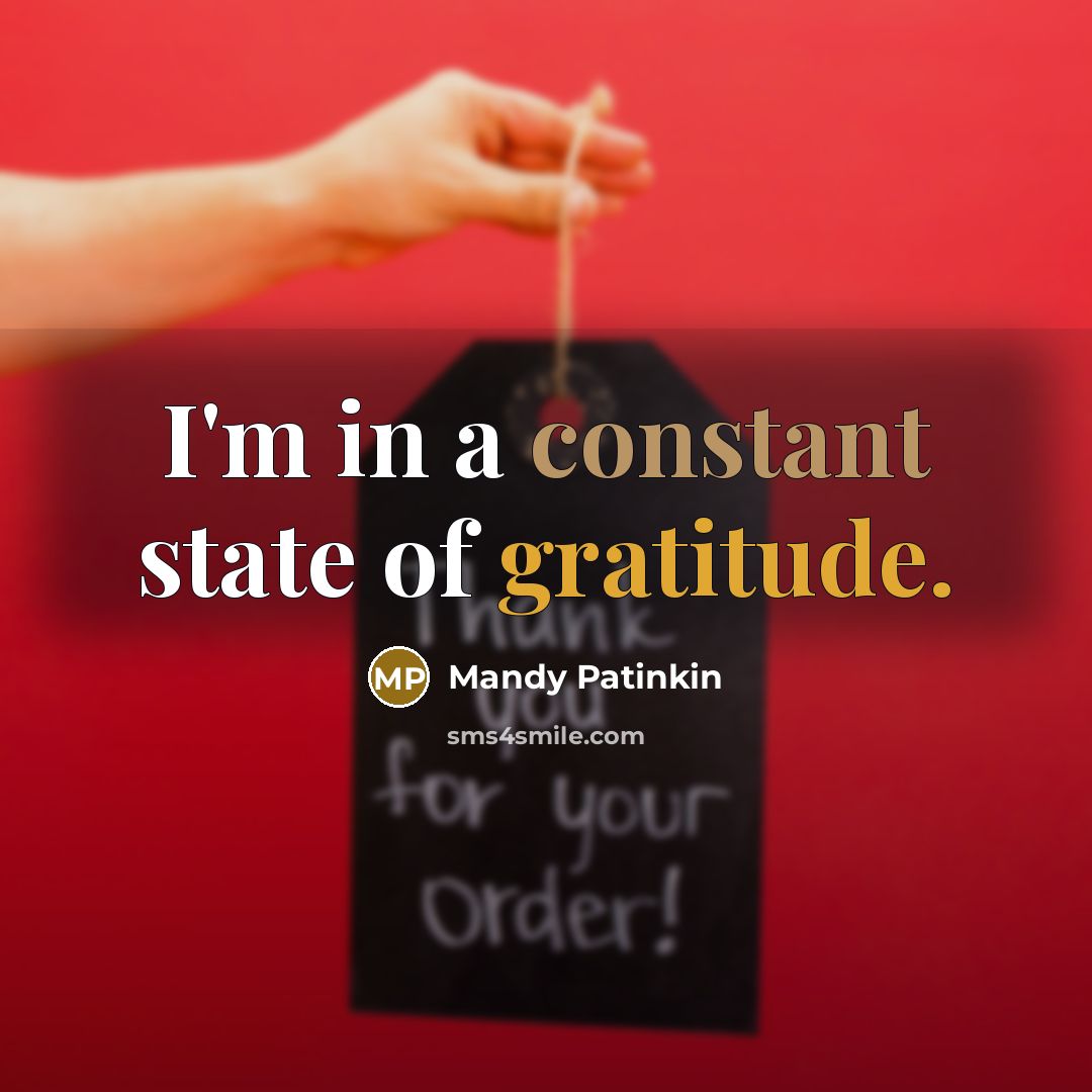 “I'm in a constant state of gratitude.…” quote by Mandy Patinkin