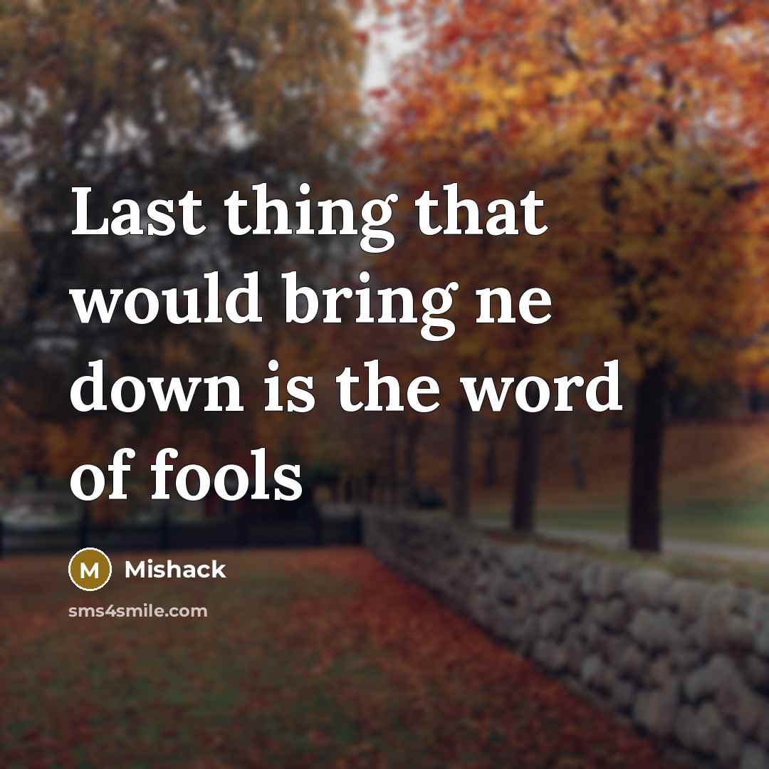 “Last thing that would bring ne down is the word of fools” quote by Mishack