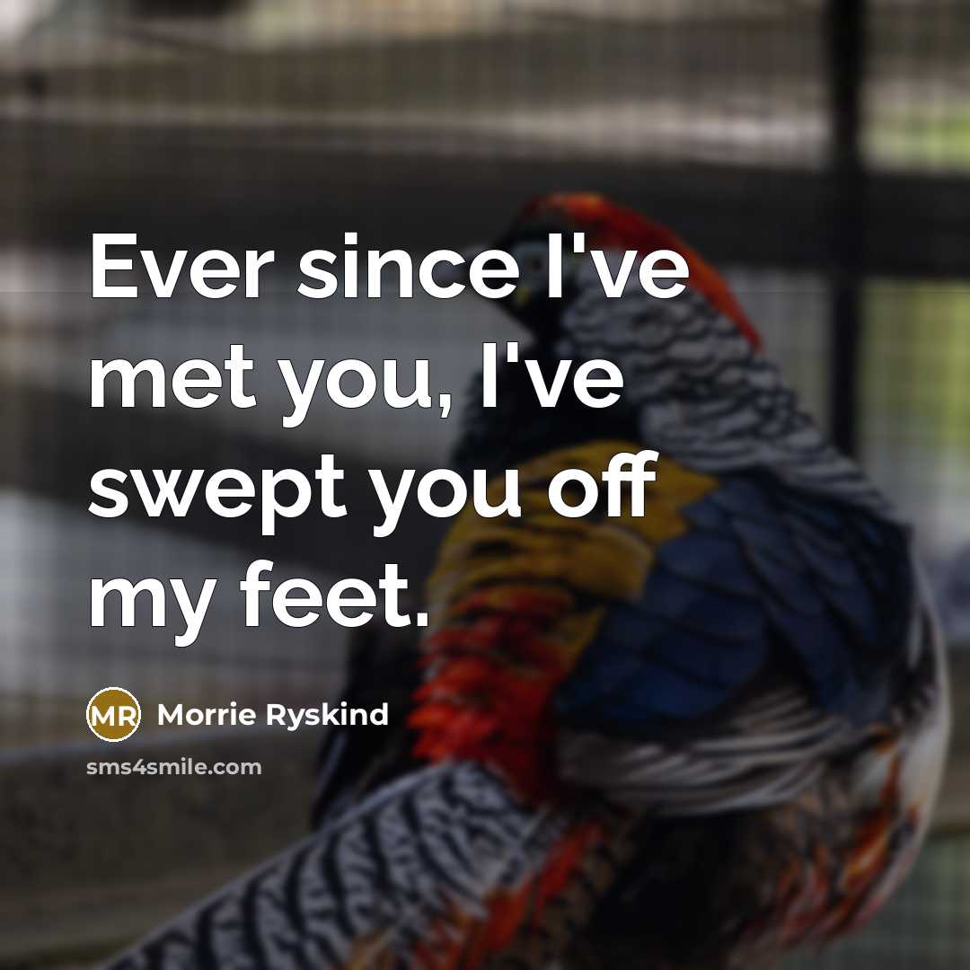 “Ever since I've met you, I've swept you off my…” quote by Morrie Ryskind