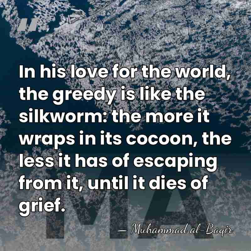In his love for the world, the greedy is like the silkworm:&hellip; - Muhammad al-Baqir