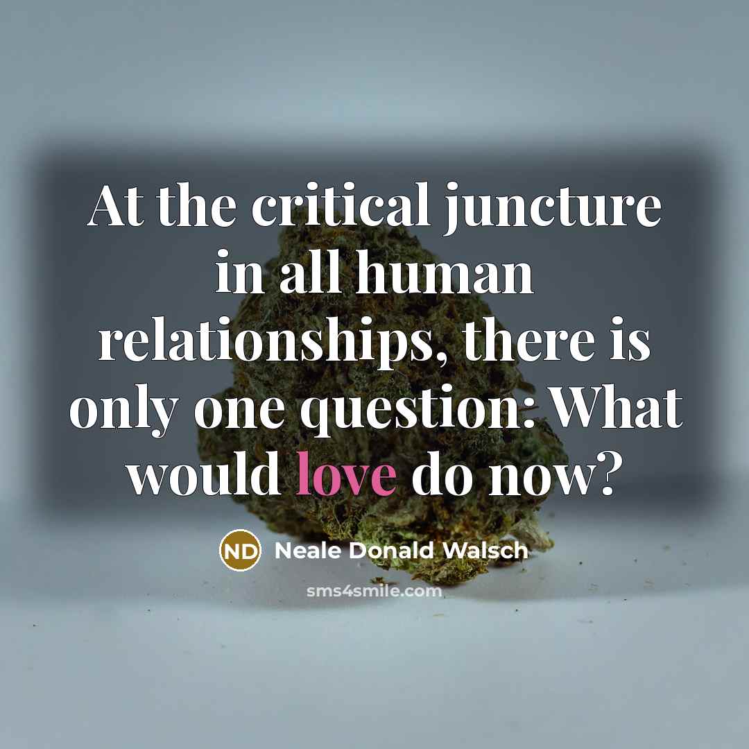 “At the critical juncture in all human relationships, there is…” quote by Neale Donald Walsch