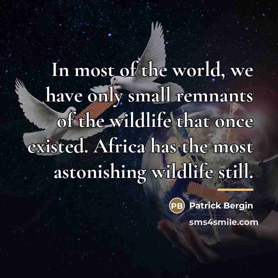 “In most of the world, we have only small remnants…” quote by Patrick Bergin